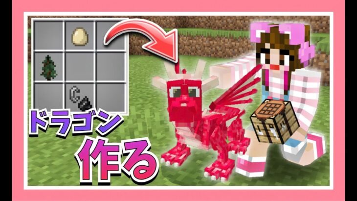 ドラゴンを作って育ててワールドを荒らしてみたｗ マイクラ マインクラフト Minecraft 女性ゲーム実況者 Tamachan Minecraft Summary マイクラ動画