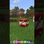 Omg super cool arrow TNT (Epic) Minecraft challenge mod review