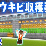 夜でも動く完全放置のサトウキビ収穫装置を作ろう!!全自動でラクラク!!マイクラ実況Part222【マインクラフト】