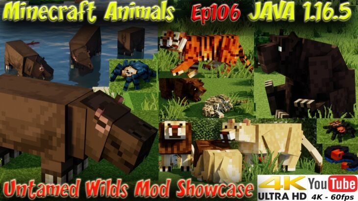 Untamed Wilds Mod Showcase Minecraft Java 1 16 5 Cool New Minecraft Animals 4k 60fps Ep106 Minecraft Summary マイクラ動画