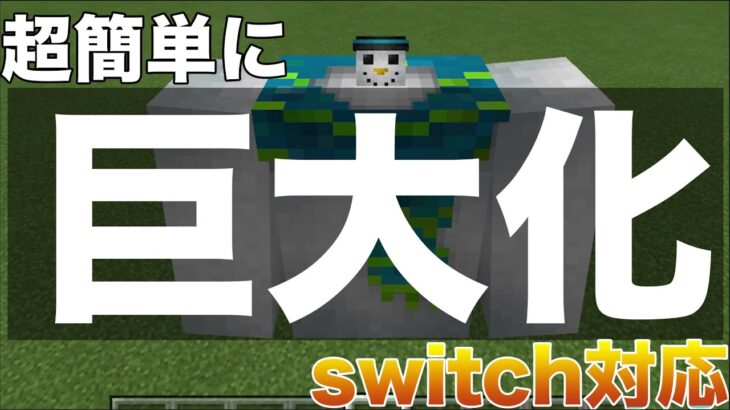 超簡単コマンド Switch対応 巨大化するコマンドの作り方 50 マイクラ まいくら マインクラフト Minecraft Minecraft Summary マイクラ動画
