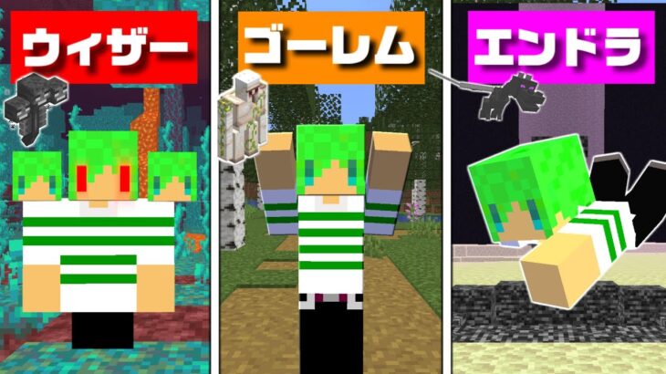 【マインクラフト】全てのモブの能力が使える世界だったら余裕で『黄昏の森』のラスボス倒せるんじゃね？