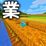 荒らしと会話しながらマイクラ農作業【１人】