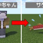 【マイクラ】『サケ』として生きるマインクラフトの難易度が高すぎたｗｗ【チートおじいちゃん】