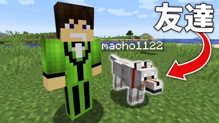 友達が犬になってるマインクラフト Minecraft Summary マイクラ動画