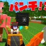 【マイクラ】ミュータントピッグマンの宝を手に入れるマップ！？【配布マップ】【ゆっくり実況】