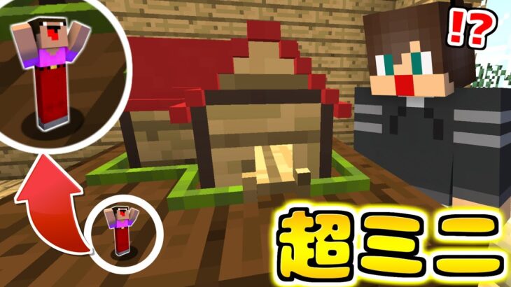 1マスの中でかくれんぼ！小さな世界でかくれられる？？【マイクラ】【マインクラフト】