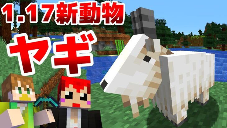 マイクラ1 17 新mob ヤギ のレアドロップが激ムズ 赤髪のとも Minecraft Summary マイクラ動画