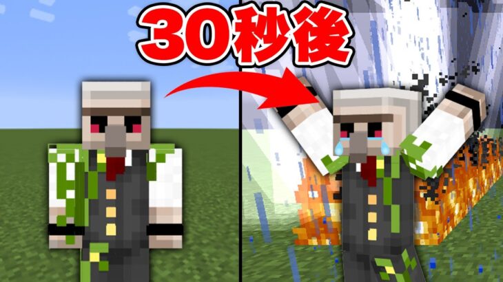 【マイクラ】『30秒ごとに殺される世界』を『ハードコア』で生き残ったった!!【データパック】