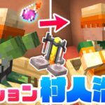 初ポーションを醸造！村人ゾンビを治療するよ！【マインクラフト】マイクラ実況 #39