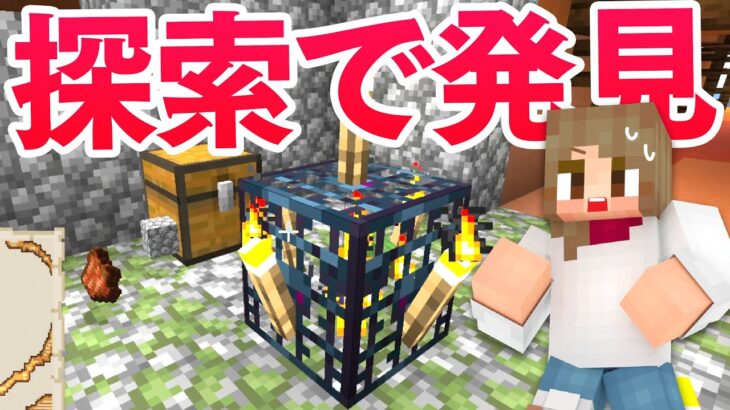 ワールド探索旅で宝箱やスポナー大発見⁉とうとうカメに遭遇！【マインクラフト】マイクラ実況 #47