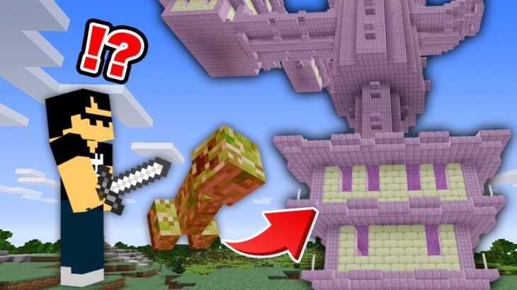 Mobを倒すと構造物が作られる世界でサバイバル マイクラ Minecraft Summary マイクラ動画