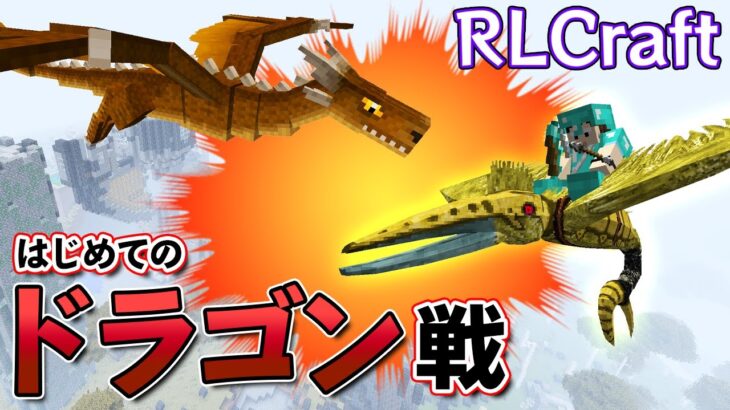 【マイクラMOD】#65 大激戦💥初のドラゴン戦の行方は⁉【RLCraft】