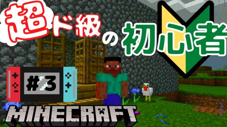 家すらまともに作れない誰か助けてください(無能)【Minecraft】