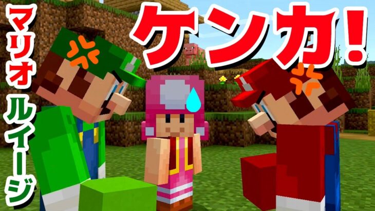 【ゲーム遊び】マリオとルイージのケンカ！ マインクラフト マイクラ【アナケナ&カルちゃん】Minecraft