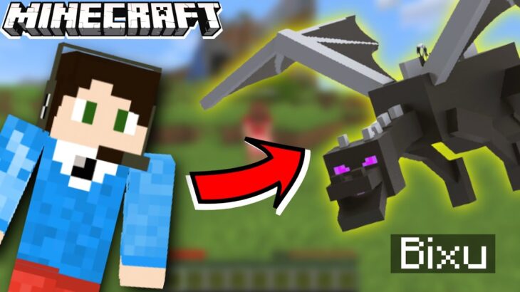 Minecraft But It’s MORPH MOD With @AndreoBee