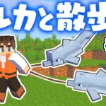 家までイルカを連れて行こう!!水族館もいよいよ完成間近!!マイクラ実況Part247【マインクラフト】