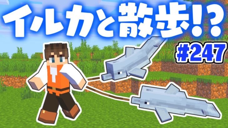 家までイルカを連れて行こう 水族館もいよいよ完成間近 マイクラ実況part247 マインクラフト Minecraft Summary マイクラ動画