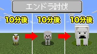 ランダムでモブに変身する世界でエンドラRTA【マイクラJava1.16.1】