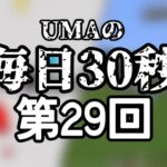 【コマンド紹介企画】UMAの毎日30秒   part29