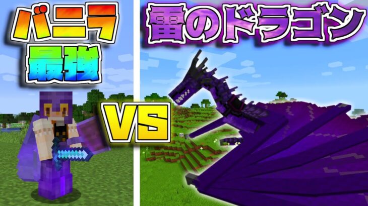 マイクラ バニラの最強装備 Vs 雷を操るライトニングドラゴン 後編 ゆっくり実況 マインクラフト Minecraft Minecraft Summary マイクラ動画