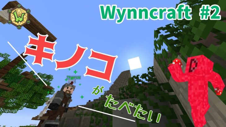 大人の階段登れるか！？魔法のキノコ探し！【マイクラ】【Wynncraft #2】