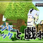 【minecraft】コマンドブロックと戯れる【天幽カフネ / Cafune ch.】
