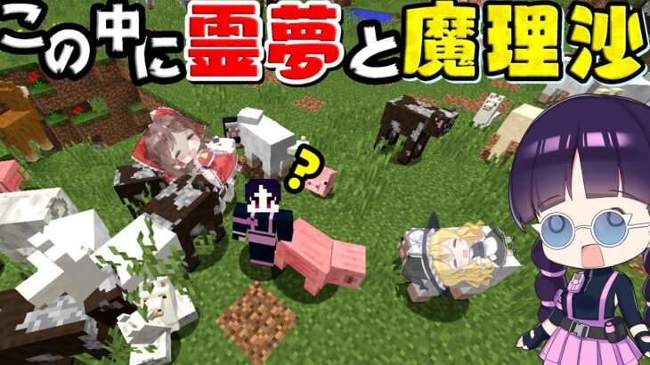 マイクラ 動物に変身できるmodでの逃走中が難しすぎたｗ ゆっくり実況 マインクラフト Minecraft Minecraft Summary マイクラ動画