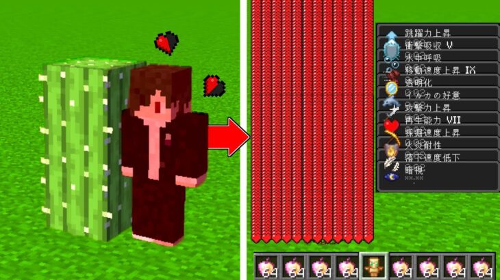 ダメージを受けるたびに体力が増えるマインクラフト マイクラ Minecraft Summary マイクラ動画