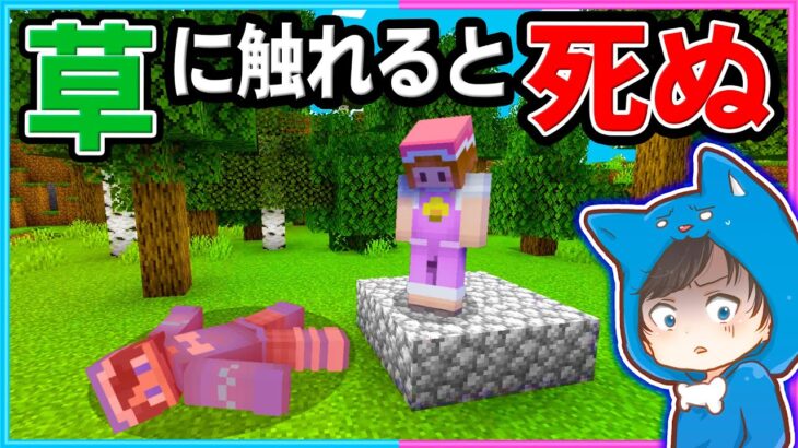 草ブロックに触れると死ぬ世界でサバイバルが難しすぎる!!【マイクラ/まいくら】