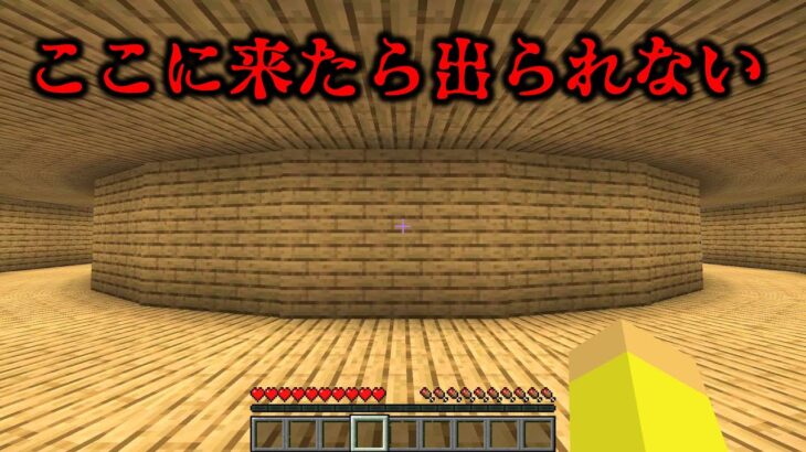【悪夢】無限につづく廊下『マイクラトリックアート』