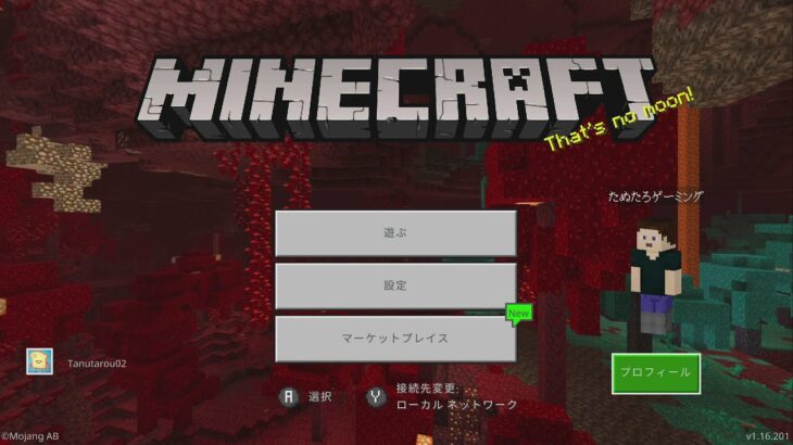 【統合版マインクラフト】 ～家の周りを整理したいです！！～