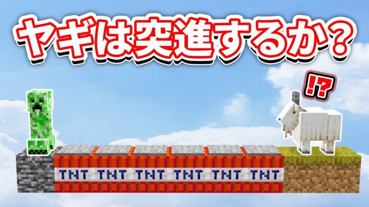 【マイクラ1.17】ヤギは頭の良いモブ？・アメジストの上に音符ブロックで何の音？など【質問検証＆疑問実験】