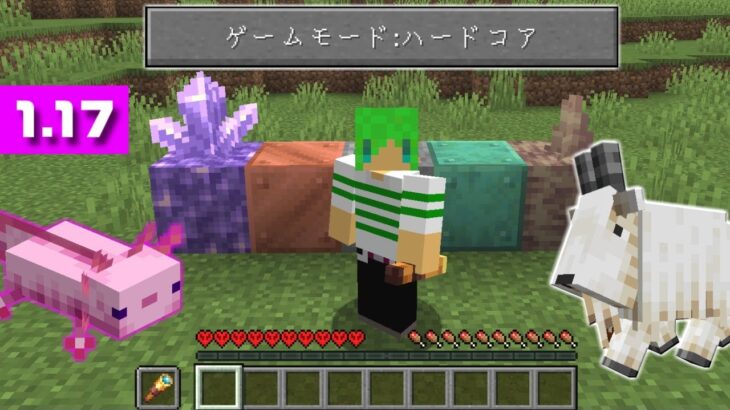 1.17で死んだら終了の『ハードコア』でエンドラ討伐サバイバル【マインクラフト1.17】