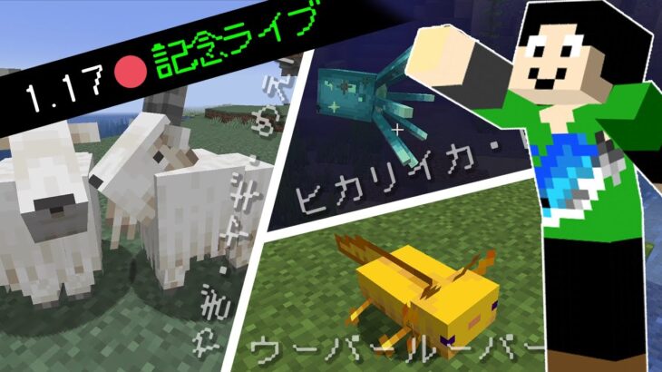 生マイクラ1 17 新モブ3種見つけるまで終われません In まぐクラ21 Minecraft Summary マイクラ動画