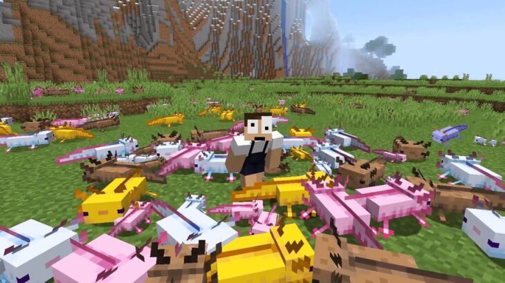 100匹のウーパールーパーを集めるまで終われないマインクラフト
