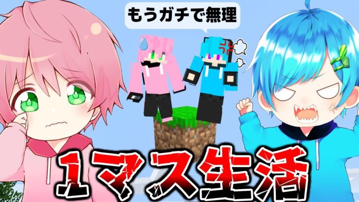 はぁ..大喧嘩!! もう終わりだ…たった1マスしかない世界でサバイバル生活をするマインクラフト【マイクラ】【まひてるクラフト#4】