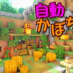 #24 全自動かぼちゃ畑をつくる！【マインクラフト】【Java版】】のんびりサバイバル生活⁉