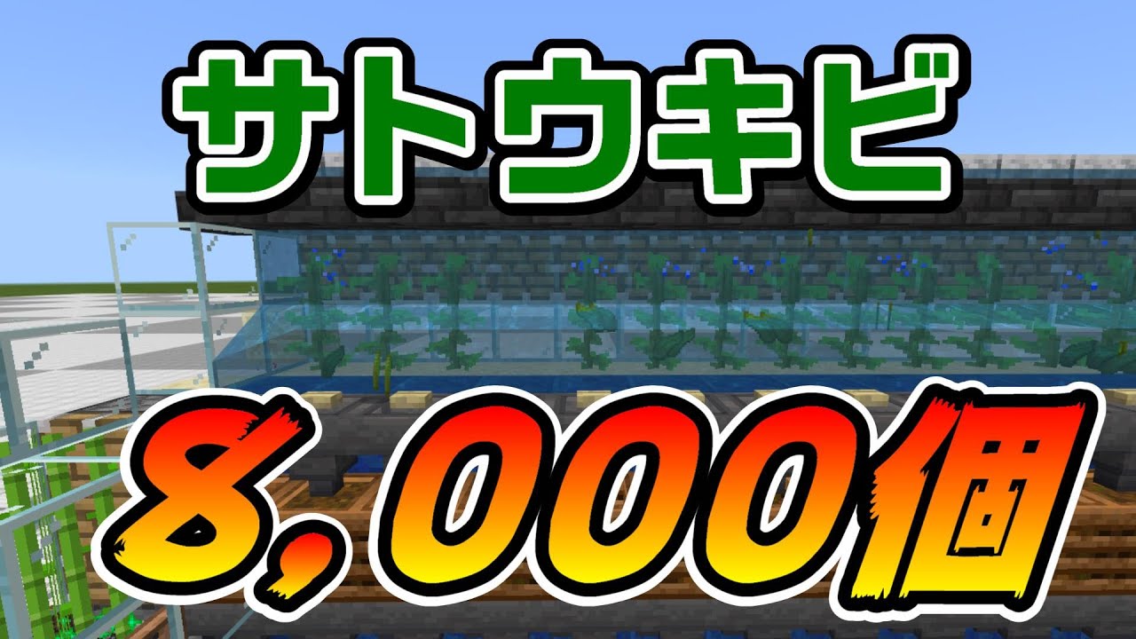 時速8 000キビover 砂ティック昆布サトウキビ収穫機 マイクラ統合版 1 17 Bedrock Pe Switch Ps Xbox 0 Tick Kelp Sugarcane Farm Minecraft Summary マイクラ動画