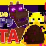 【マイクラ】新バージョンちょっと触ってみる【MINECRAFT】