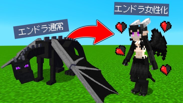 エンドラが女の子になっちゃうmodがヤバすぎるｗｗ マイクラ Minecraft Summary マイクラ動画