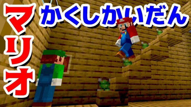 【ゲーム遊び】マリオとルイージのかくし階段の家 マインクラフト マイクラ【アナケナ】Minecraft