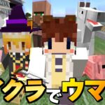 【Minecraft】ゆくラボ３～魔法世界でリケジョ無双～ Part.41【ゆっくり実況】