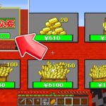 【Minecraft】マイクラ最新バージョン1.17は課金要素が追加された件