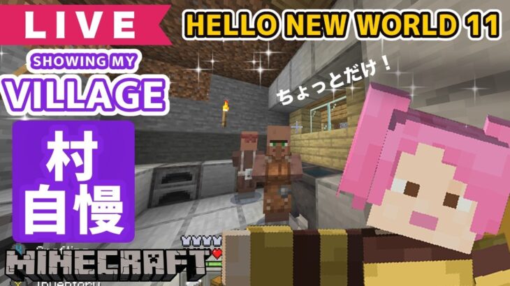 【マイクラ】村が完成！？【Minecraft】Hello New World 11