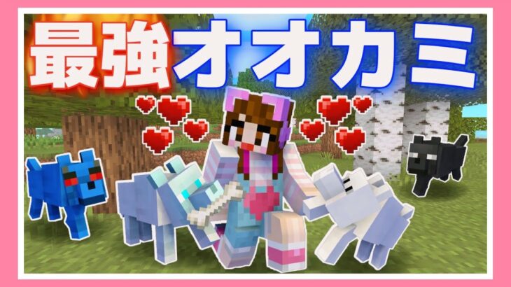 新種のオオカミを仲間にしたら無敵すぎた！？【マイクラ】【マインクラフト】【Minecraft】【女性ゲーム実況者】【TAMAchan】