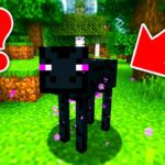 【マイクラ】幻の『エンダーピッグ』って知ってる？（ マインクラフト ・ Mod ・ いつお ・ まいくら ）