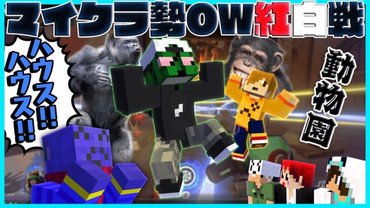 【マイクラ勢OW】ぐちつぼゴリラとぺいんとモンキーが暴れすぎた防衛戦【#らっだぁ切り抜き】