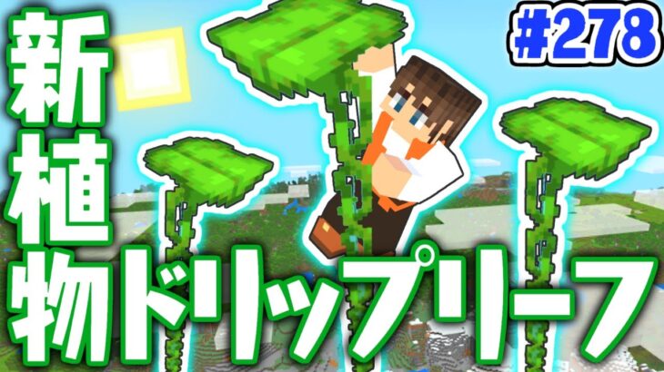 アプデ追加の世界一高い植物とは!?ドリップリーフを使いこなそう!!マイクラ実況Part278【マインクラフト】