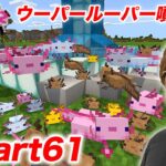 【ヒカクラ２】Part61 – ウーパールーパーだらけの噴水建築！エサの熱帯魚つかまえまくるよ！【マインクラフト】